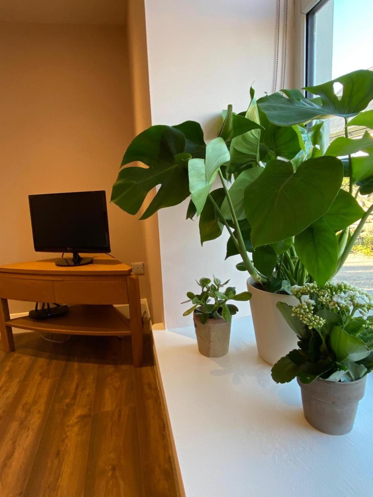 Croagh Patrick Studio Apartment Murrisk Exterior foto